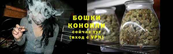 ALPHA PVP Няндома
