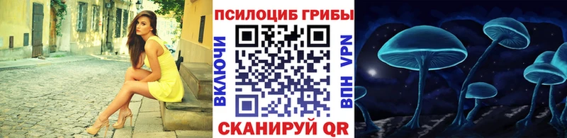 Галлюциногенные грибы Psilocybe  Пласт 